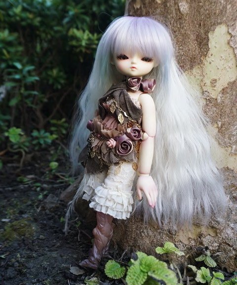 樹妖精姊妹花