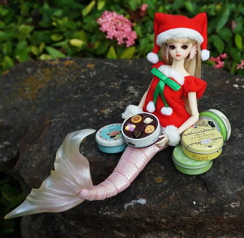 聖誕美人魚