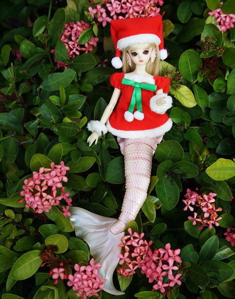 聖誕美人魚