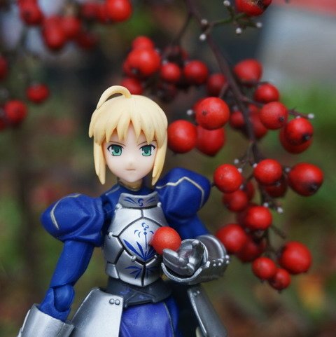 賽芭採果