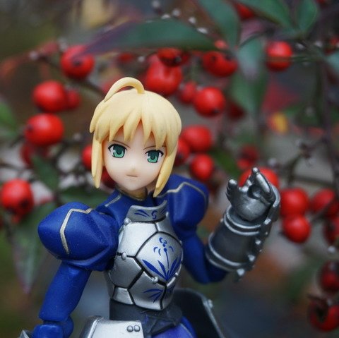 賽芭採果