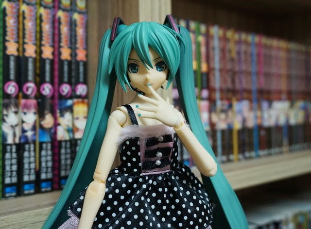 初音逛書房