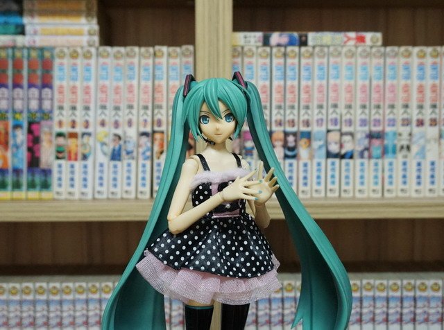 初音逛書房