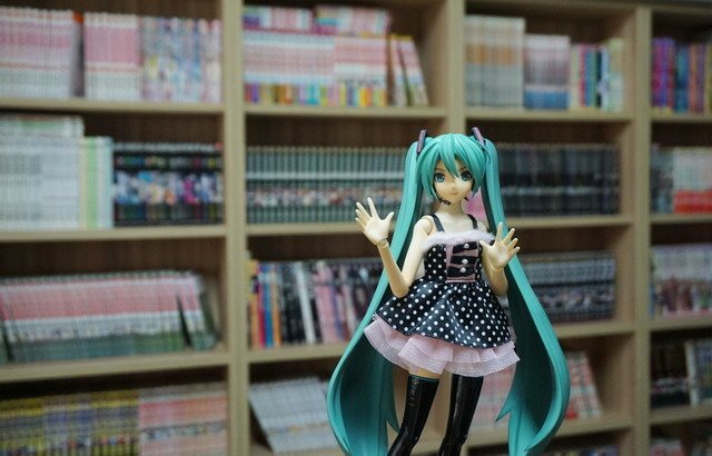 初音逛書房
