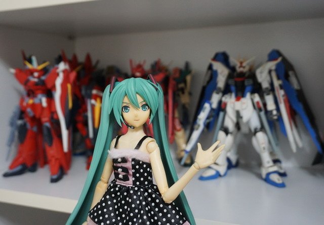 初音逛書房
