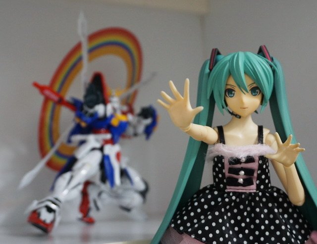 初音逛書房