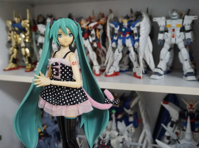 初音逛書房