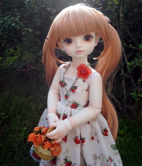 提著花籃的少女