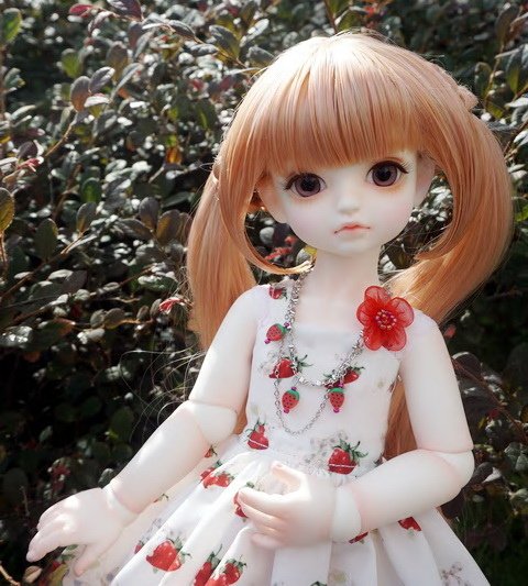 提著花籃的少女
