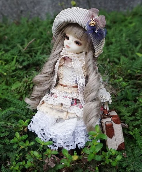 優雅小淑女