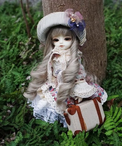 優雅小淑女