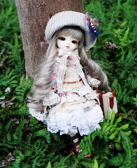 優雅小淑女