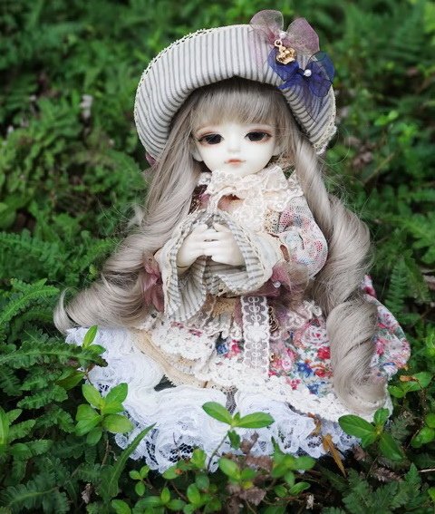 優雅小淑女