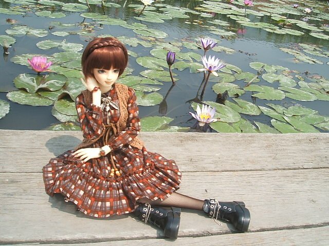 中社花市外拍去