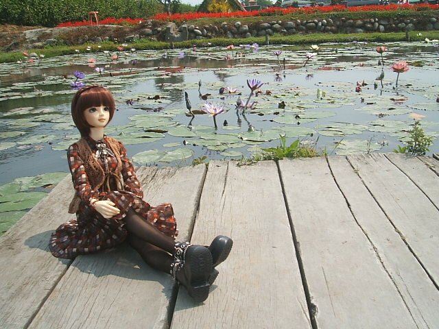 中社花市外拍去