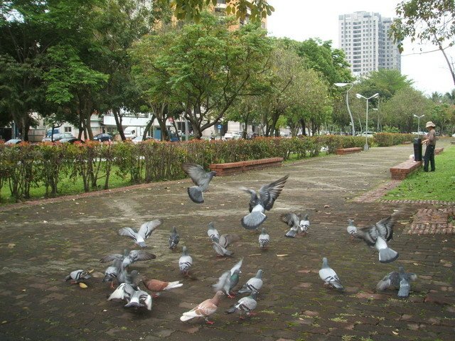 小天使的外出遊