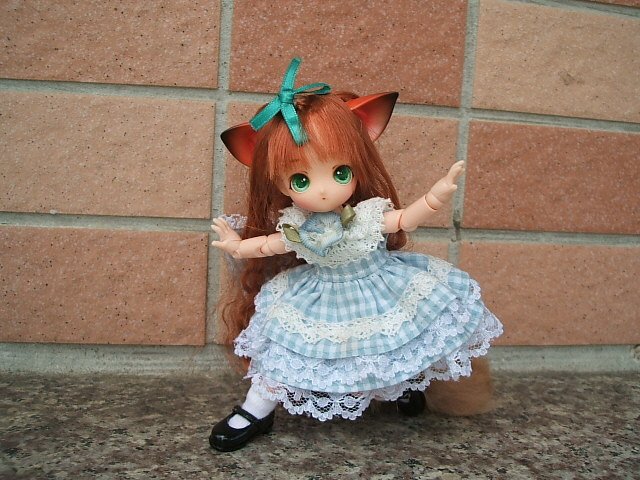 貓耳娘的出外遊
