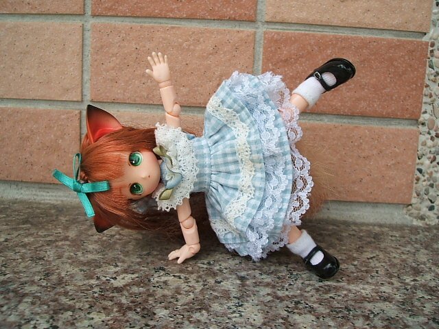 貓耳娘的出外遊