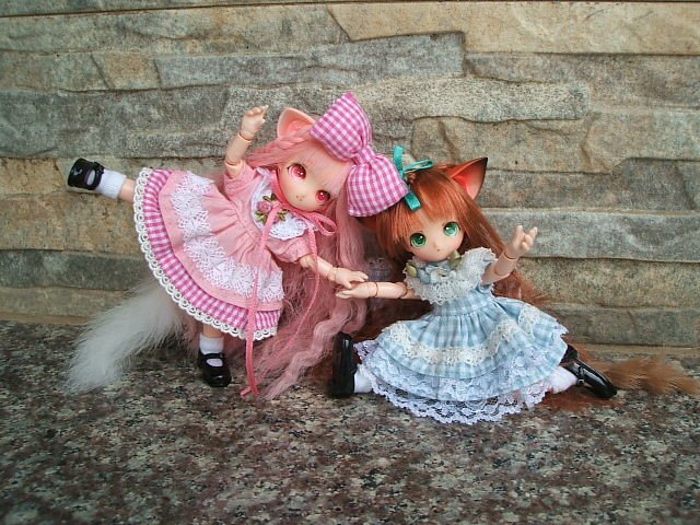 貓耳娘的出外遊