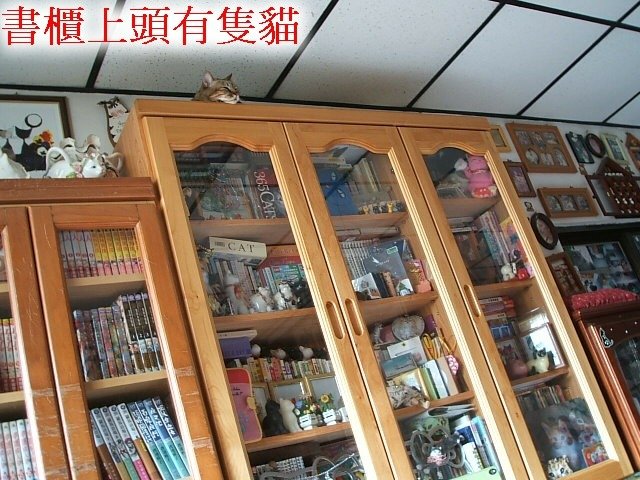 紋紋的秘密基地