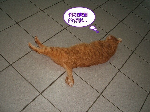 啾啾的腹肌