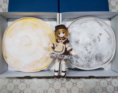 根號拾手作波士頓派