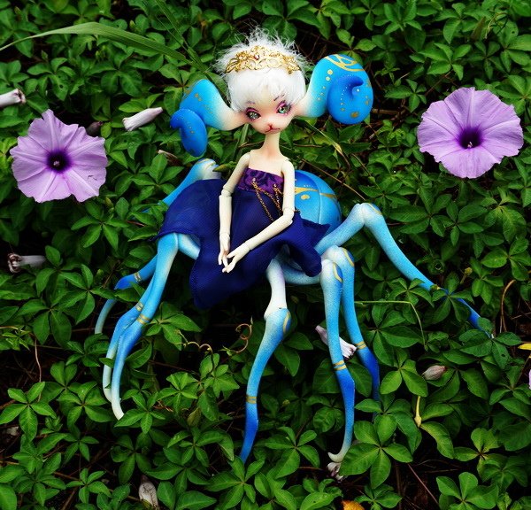 牽牛花與蜘蛛羊