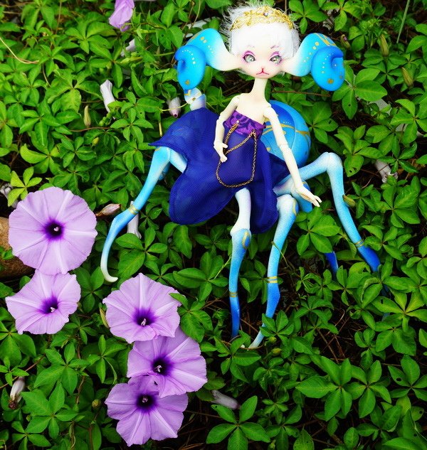 牽牛花與蜘蛛羊