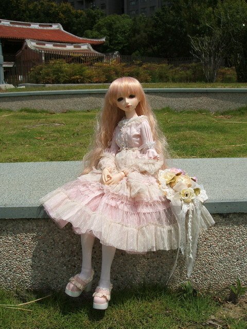 粉紅淑女小花萌黃