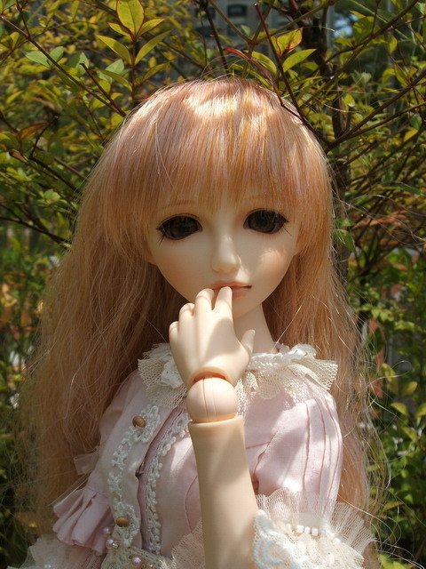 粉紅淑女小花萌黃
