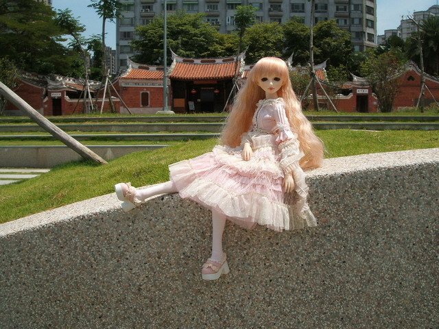 粉紅淑女小花萌黃