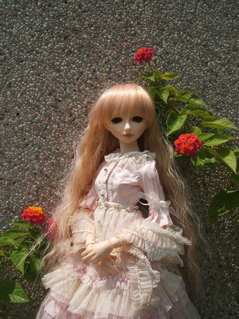粉紅淑女小花萌黃