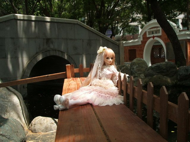粉紅淑女小花萌黃