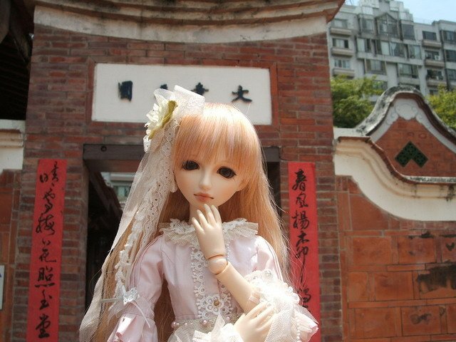 粉紅淑女小花萌黃