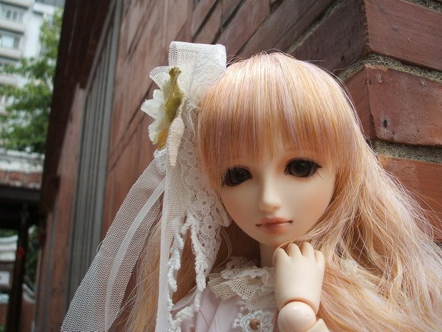 粉紅淑女小花萌黃