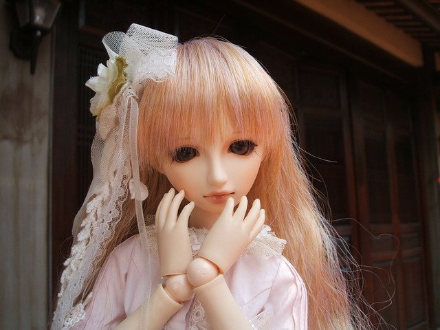 粉紅淑女小花萌黃