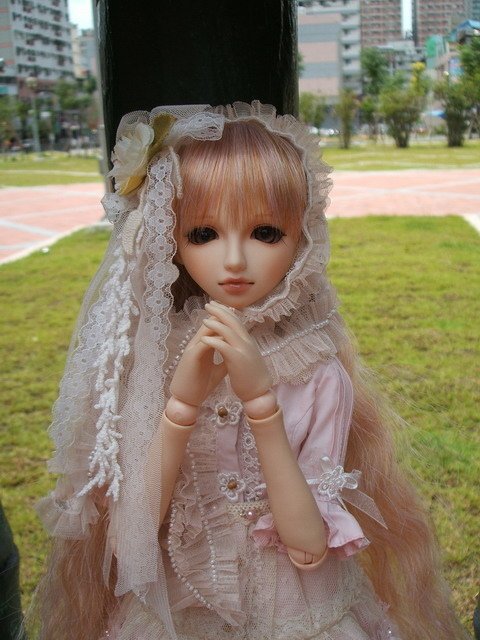 粉紅淑女小花萌黃