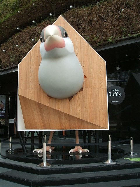 130711勤美「百鳥開店計畫」 (7).JPG