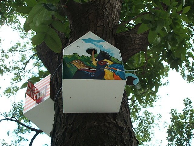 130711勤美「百鳥開店計畫」 (28).JPG