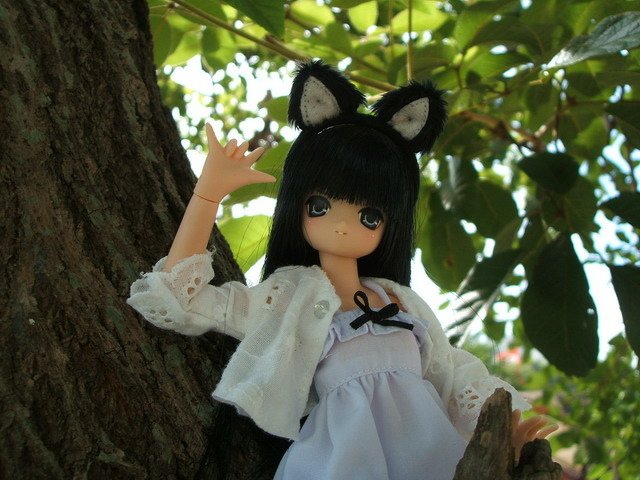 黑白貓耳娘的公園遊