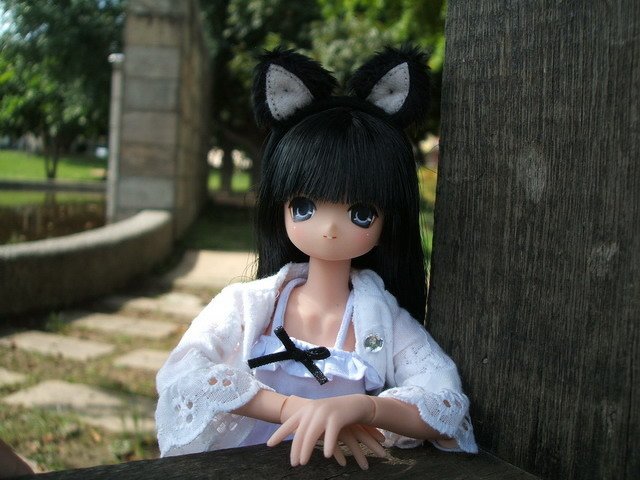 黑白貓耳娘的公園遊