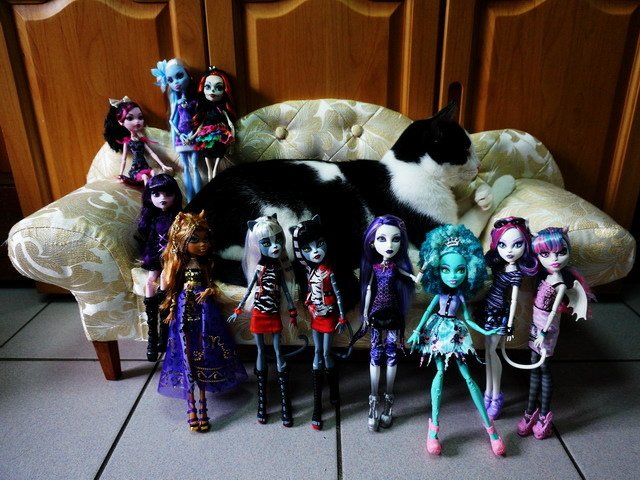 Monster High 乳乳的後宮