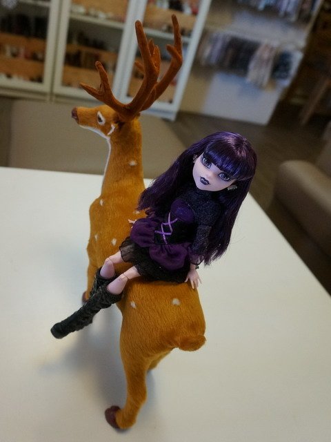 Monster High 吸血女王過聖誕