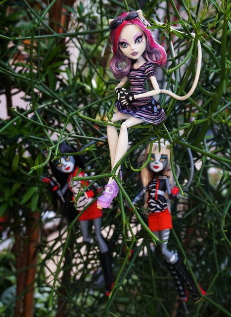 Monster High 貓咪女孩 -- 白貓凱特琳．德穆德