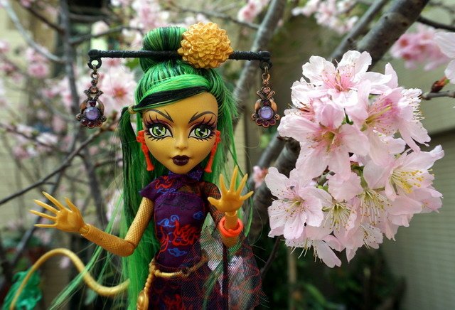 Monster High 火爆龍女 -- 吉尼亞菲爾．龍