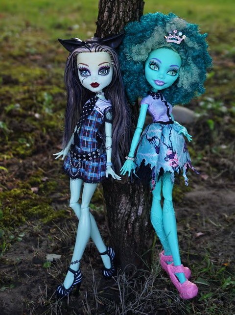 Monster High 沼澤女&amp;科學怪女