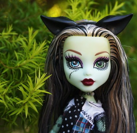 Monster High 沼澤女&amp;科學怪女