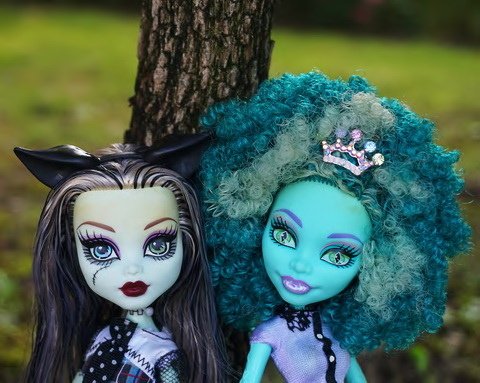 Monster High 沼澤女&amp;科學怪女
