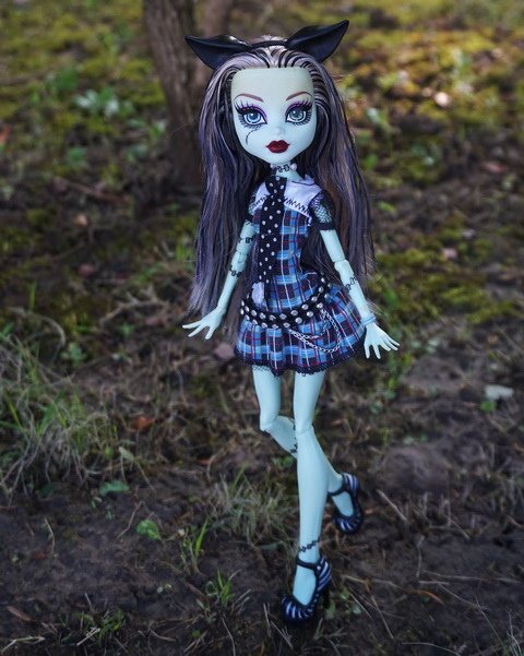 Monster High 沼澤女&amp;科學怪女
