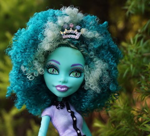 Monster High 沼澤女&amp;科學怪女